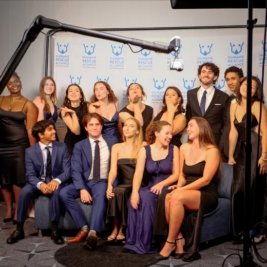 The GlamBot gallery photo 4