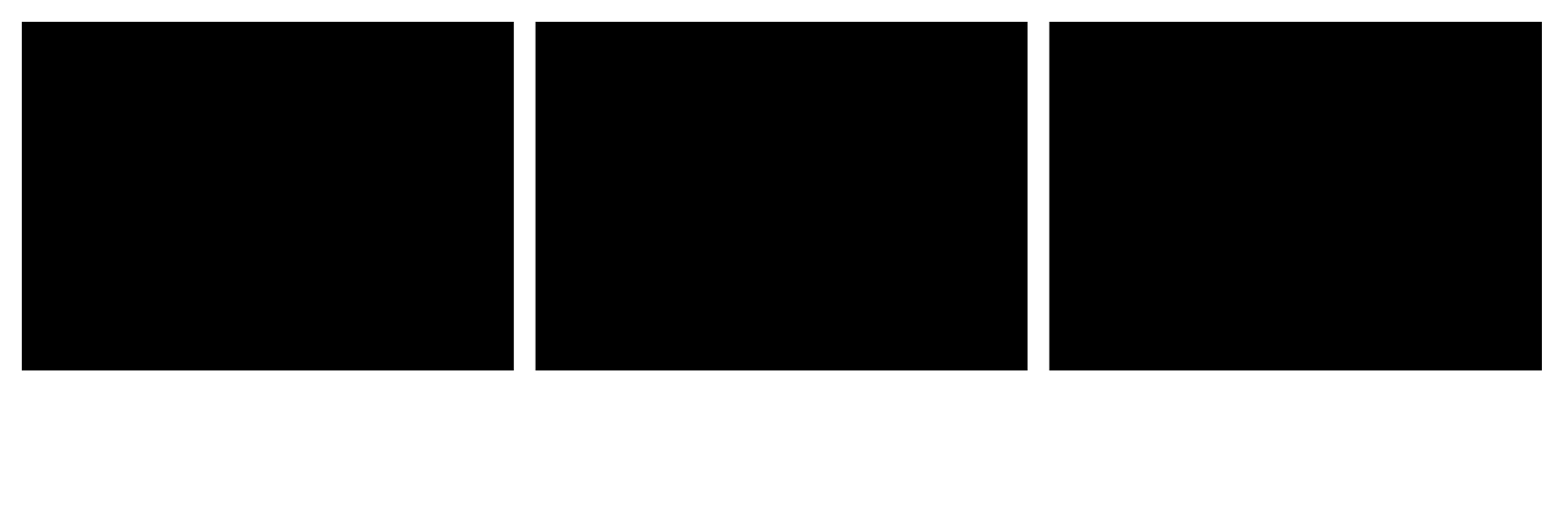 Horizontal Strip 3 layout thumbnail