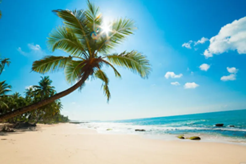 Green screen background option 15