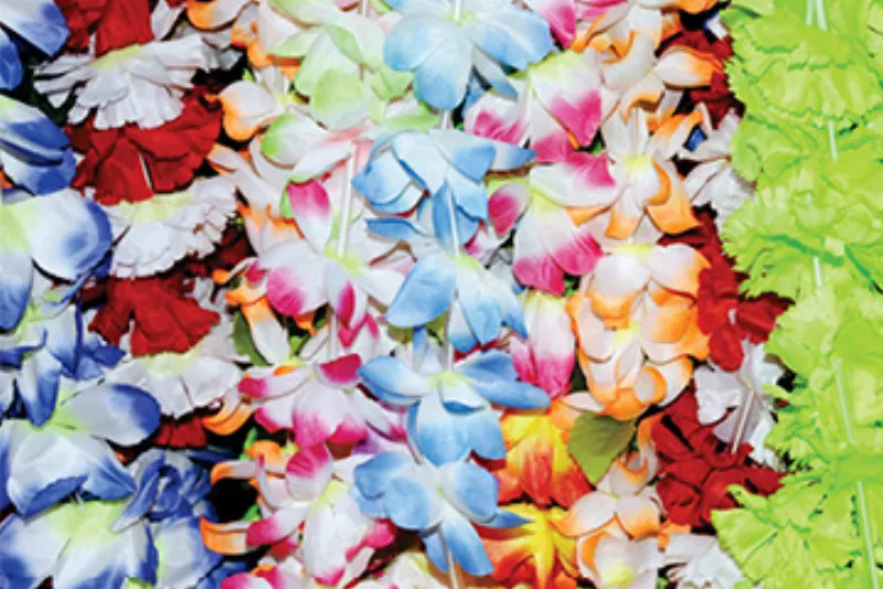 Green screen background option 27