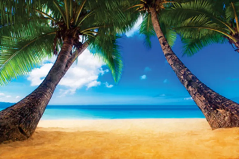 Green screen background option 28