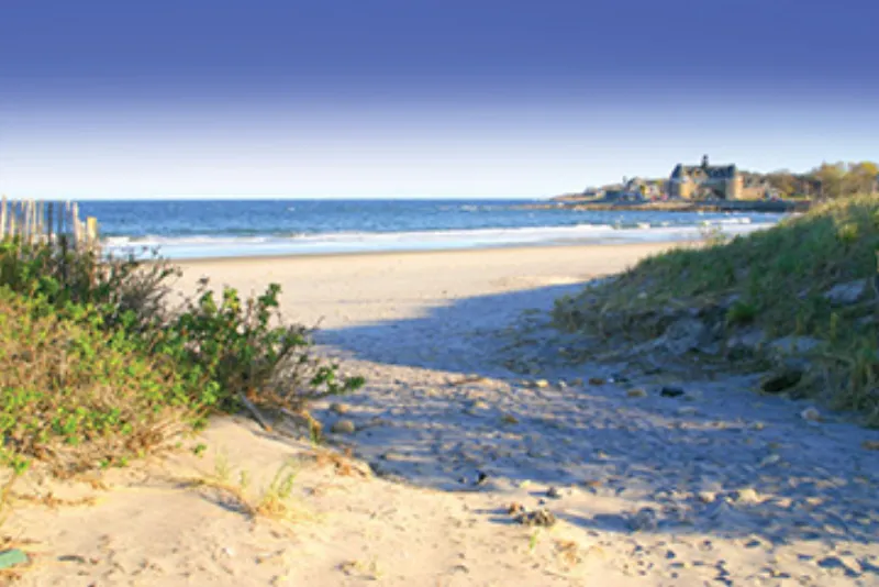 Green screen background option 34