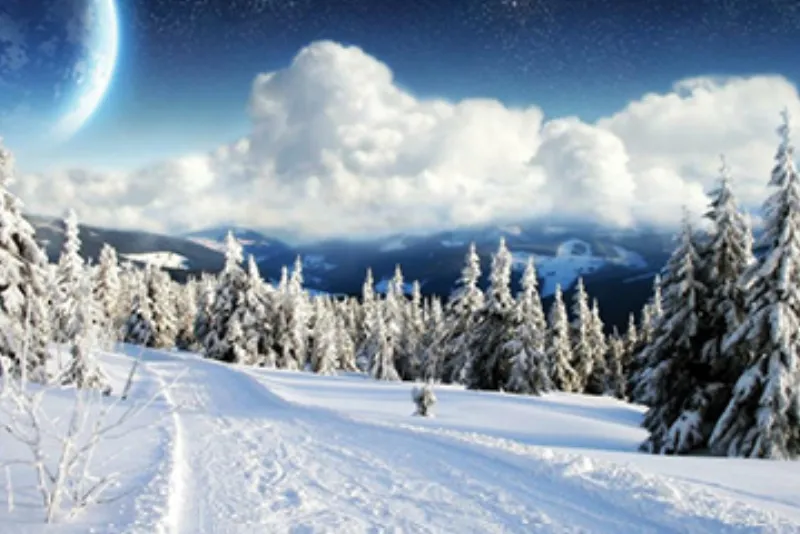 Green screen background option 36