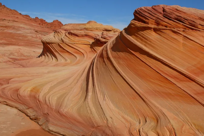 Green screen background option 40