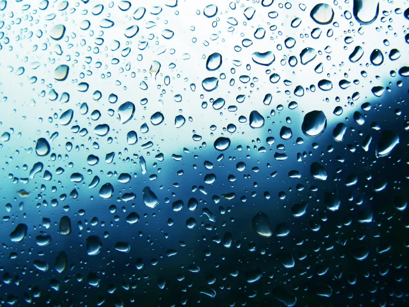 Green screen background option 43