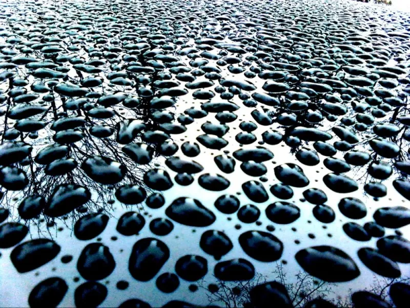 Green screen background option 46