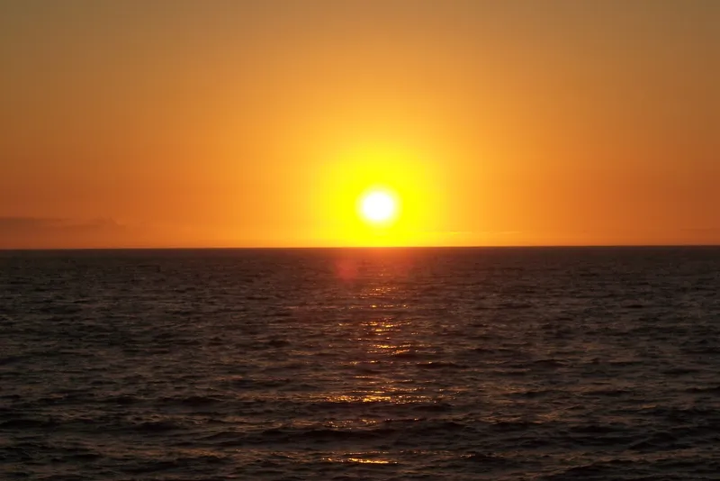 Green screen background option 82