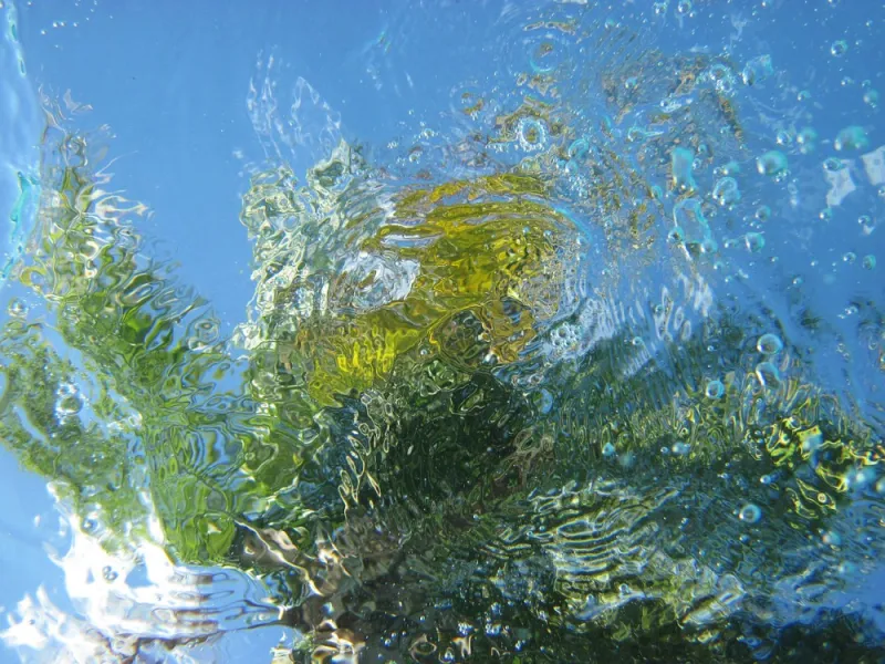 Green screen background option 83