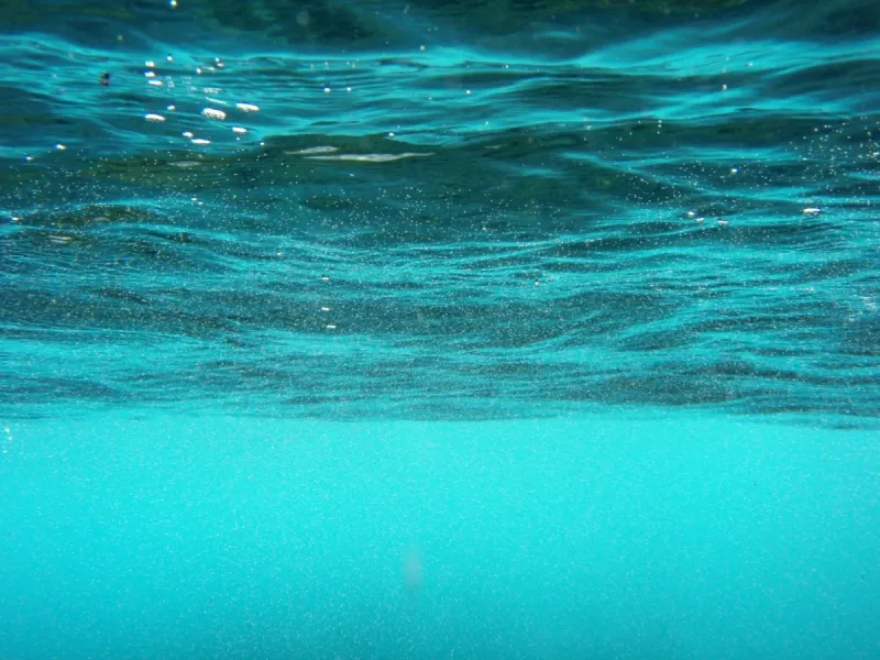 Green screen background option 90